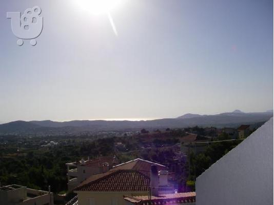 πωλουντε καινουρια Σπιτια Μεζονετες σε τιμη Ευκαιριας Παλληνη ορια Ντραφι GEOPOLIS 6977446...